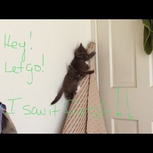 SHOP POSHMARK!! Avoid scenes like this at the mall